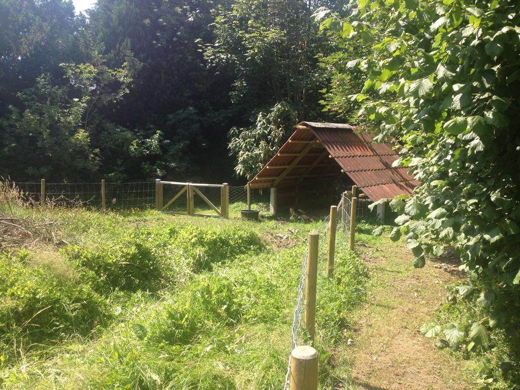 Kildegaarden Bed & Breakfast Frorup 外观 照片